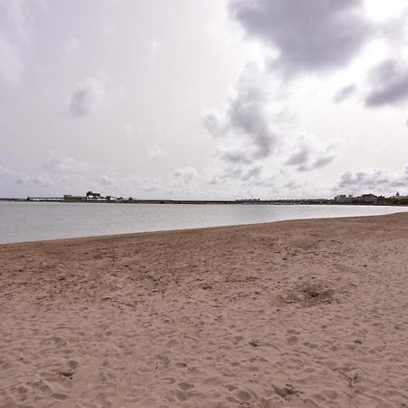 Apartamento Gregorio 托雷维耶哈 外观 照片